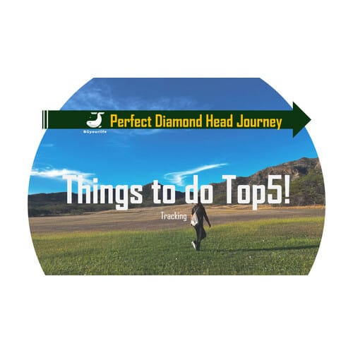 Thumbnail of diamond head