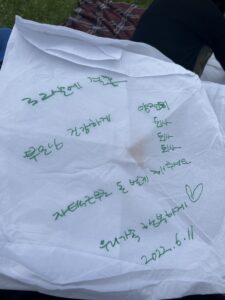 launch the lantern at Night Lights Festival