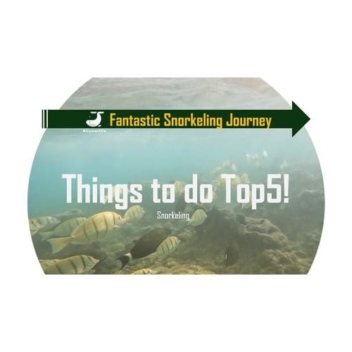 Thumbnail -Hanauma bay