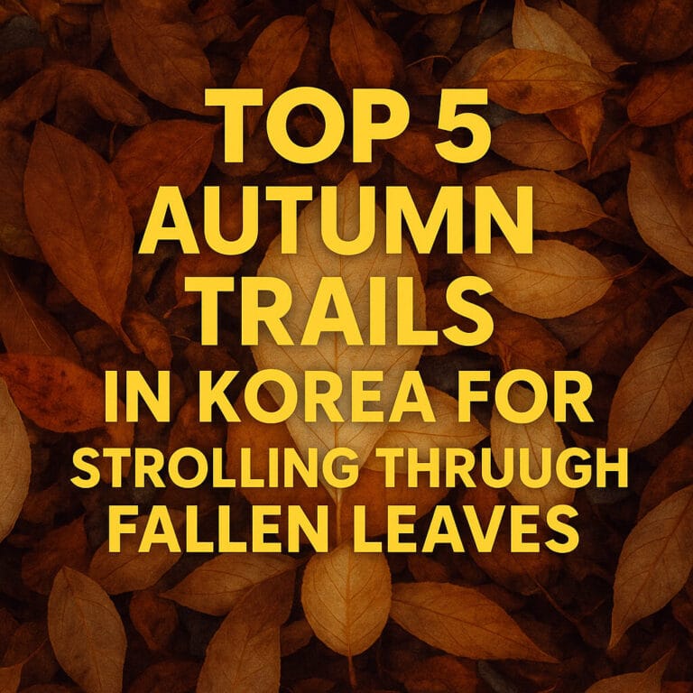 Top 5 Autumn Trails in Korea