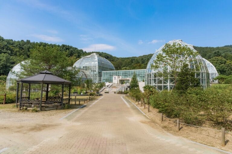 Top 5 Autumn Trails 
arboretum