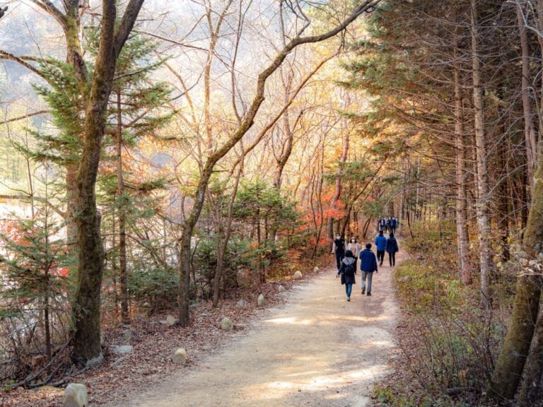 top 5 Autumn Trails Odaesan