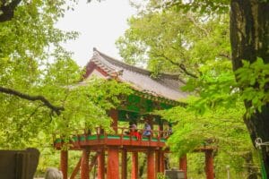 Top 5 Autumn Trails in Korea
Hamyang