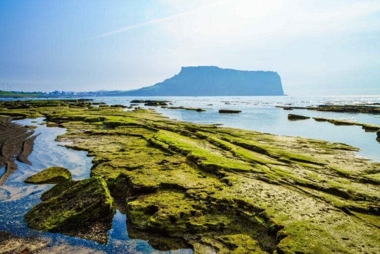 Rocky coastline with calm water