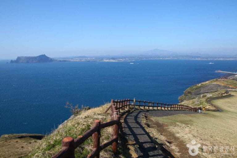 Scenic coastal view with pathway