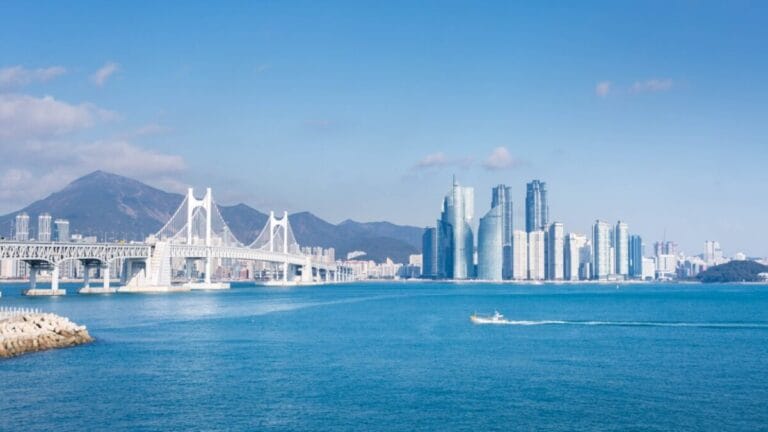 Modern skyline with bridge and water