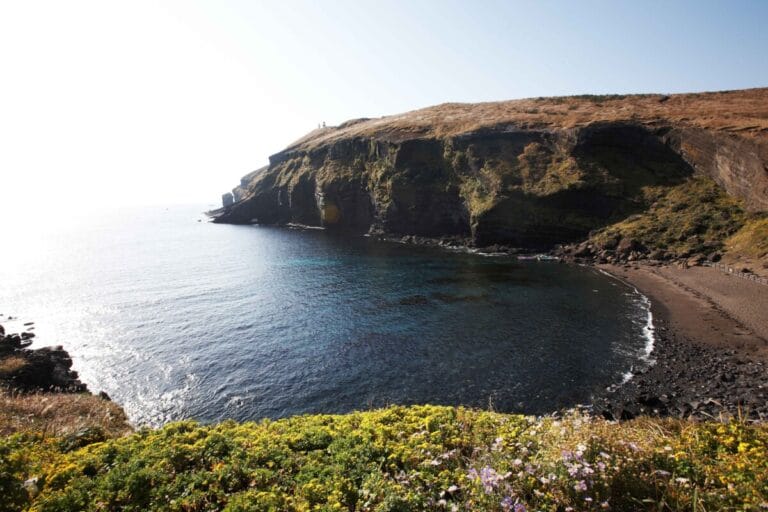Coastal cliff with tranquil bay